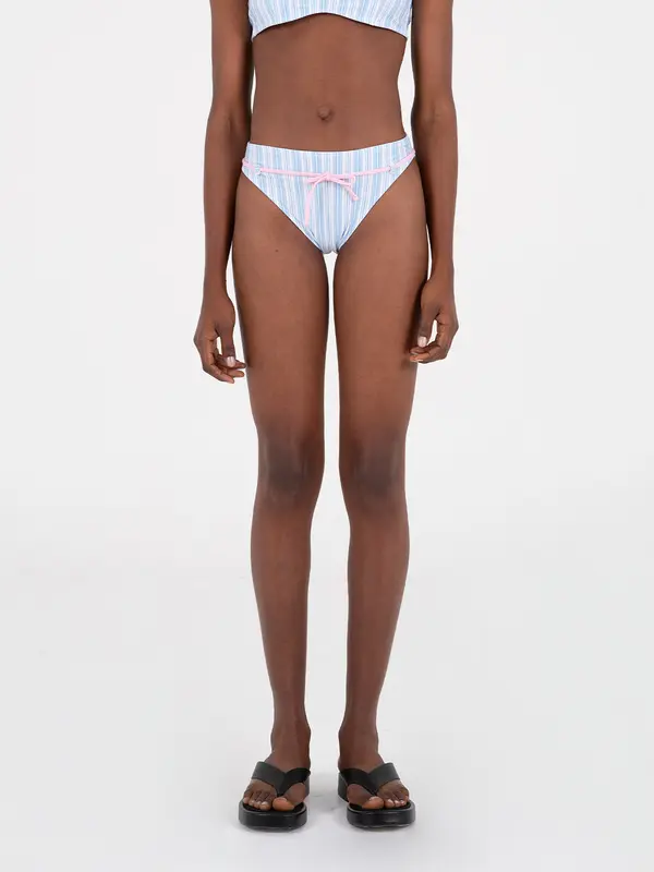 River Striped Print Bikini Bottom